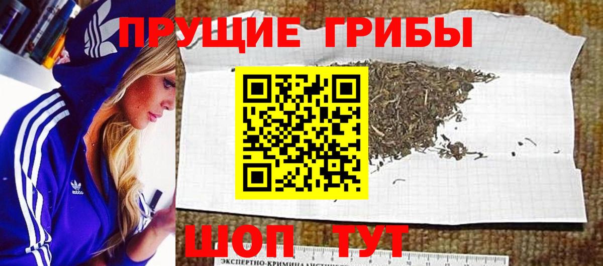 Ейск  Псилоцибиновые грибы Psilocybe  Вход с VPN  Псилоцибиновые грибы мухоморы 
